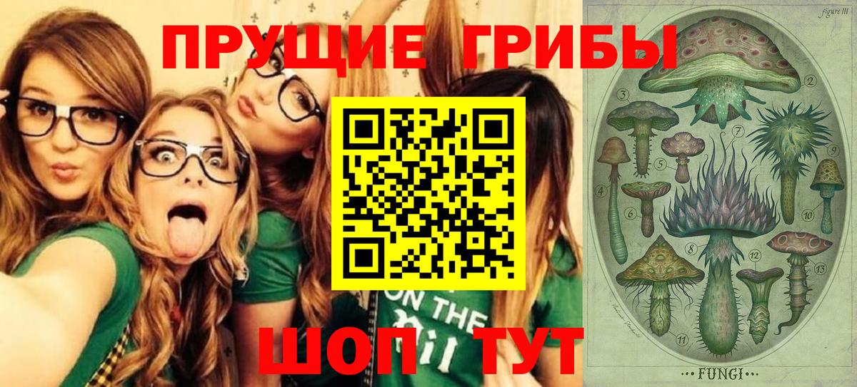 Псилоцибиновые грибы прущие грибы  Вход с VPN  Зеленогорск 