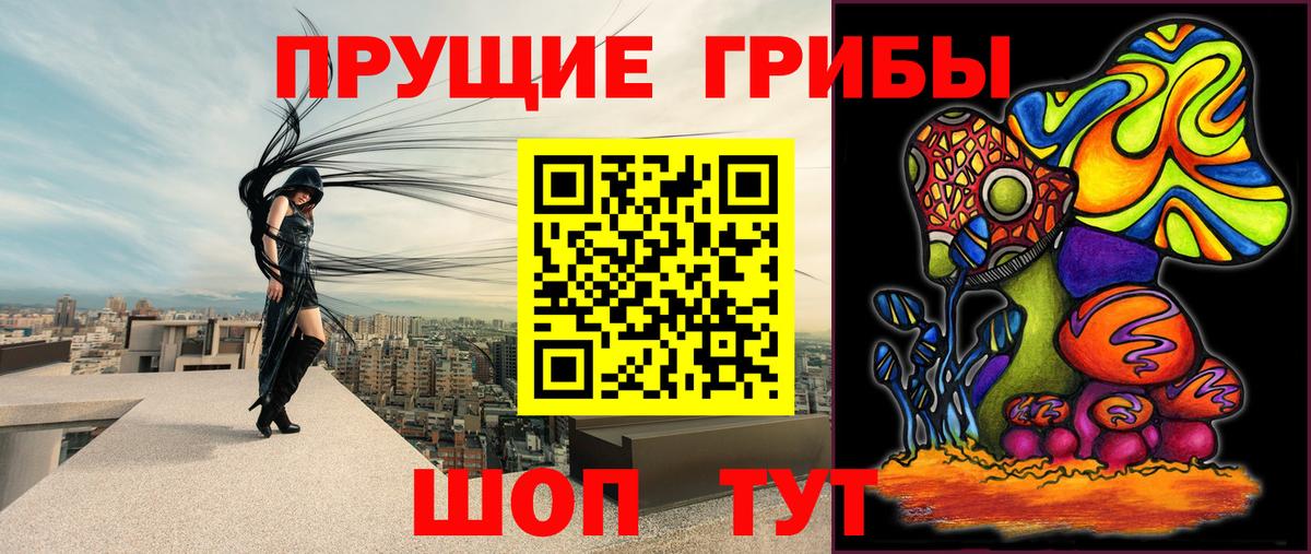 Галлюциногенные грибы мицелий Зеленогорск